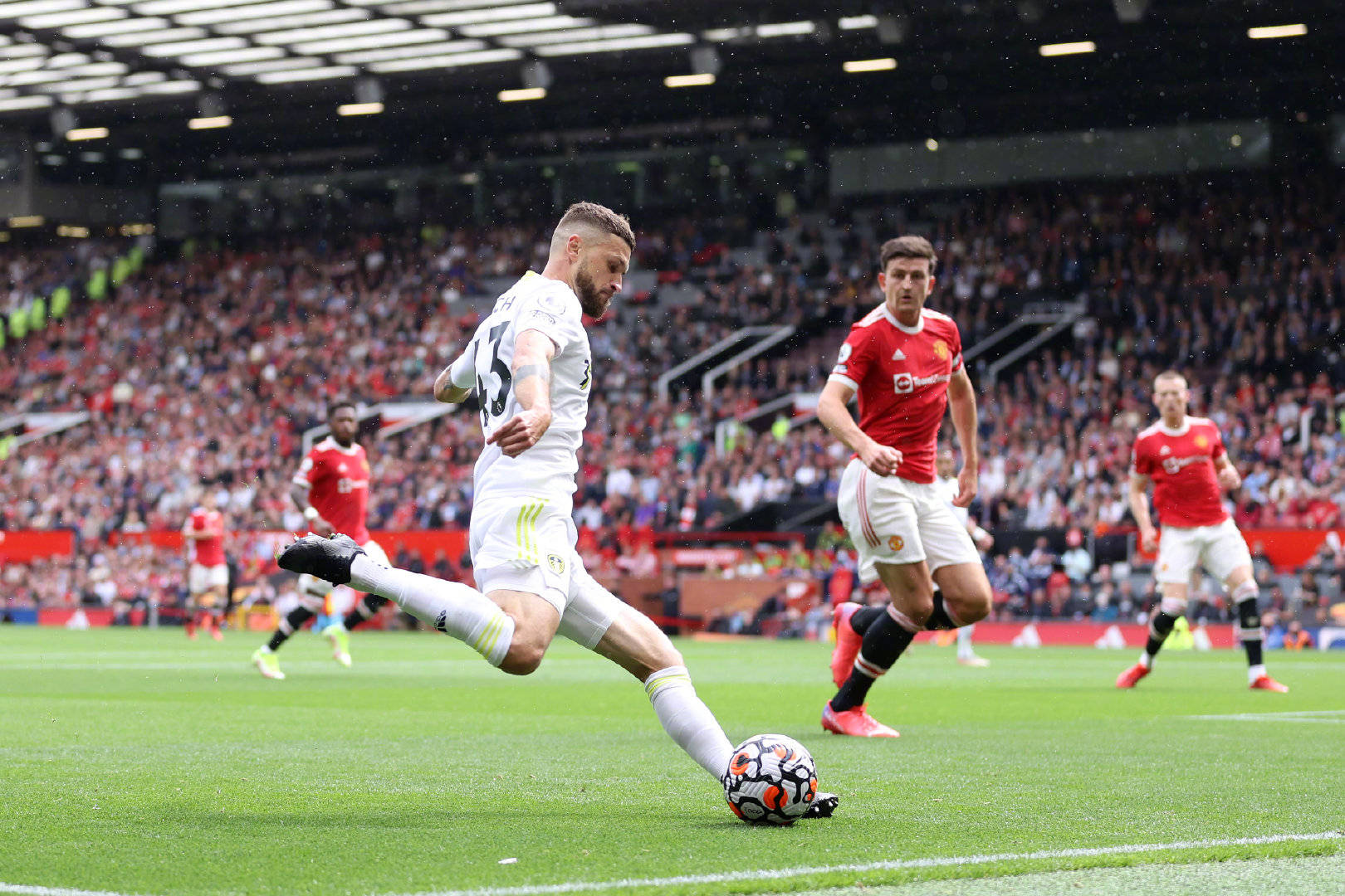 了许多宝贵 了许多宝贵